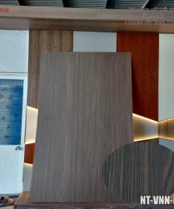 Ván Nhựa Nội Thất Phủ Film 2 Mặt 122x244 8-12mm-F19