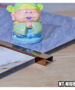 Nẹp Inox Chữ U -Mã NT-NIU8H